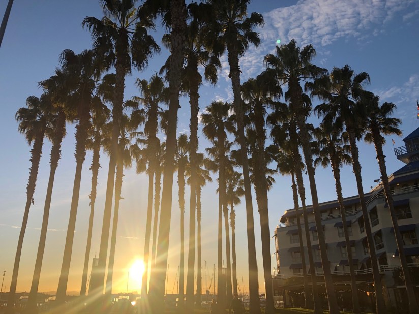 Sunset at Jack London Square, Oakland, CA 